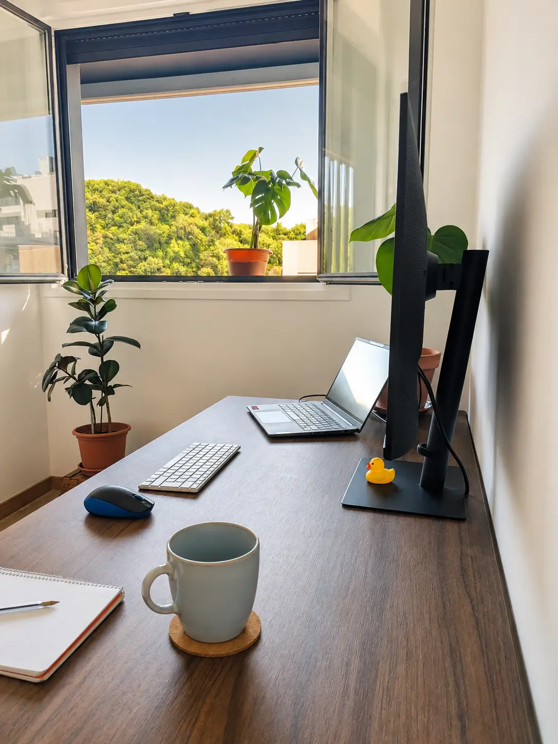 A calm desk workspace by a window overlooking greenery